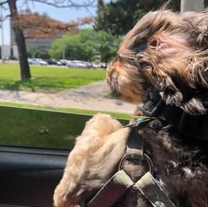 Meet your Posher, Luncinda